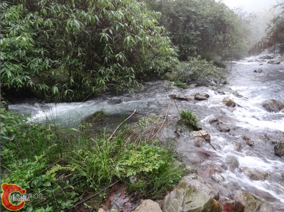 天台山12.jpg