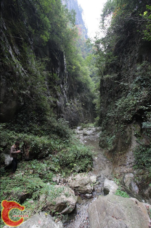天台山15.jpg