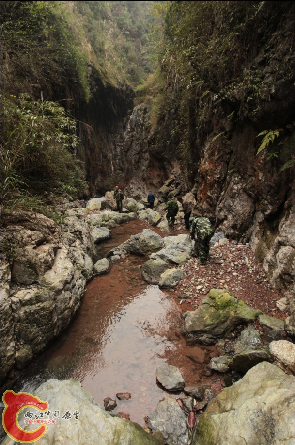 天台山27.jpg