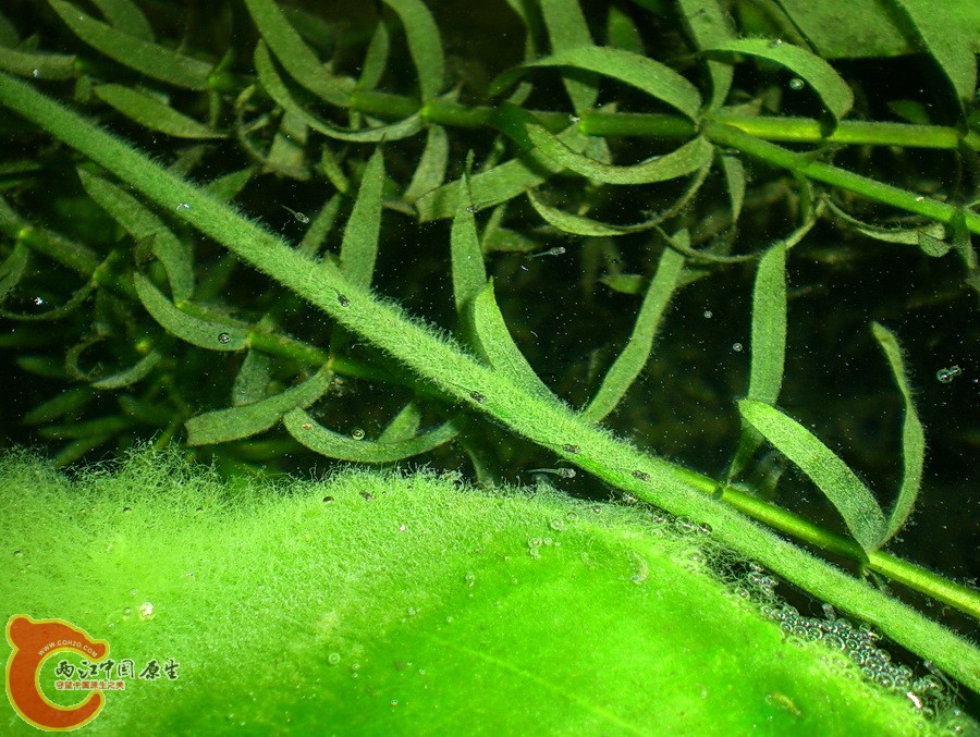 DSCN4788.JPG