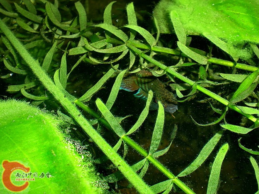 DSCN4801.JPG