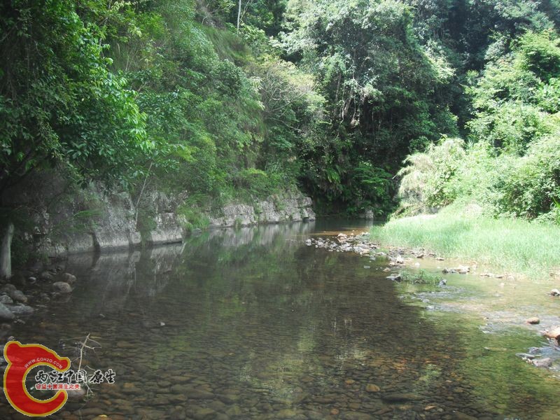 DSCF0869.JPG