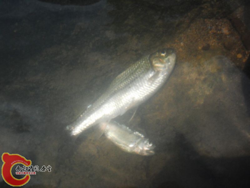 DSCF0889.JPG