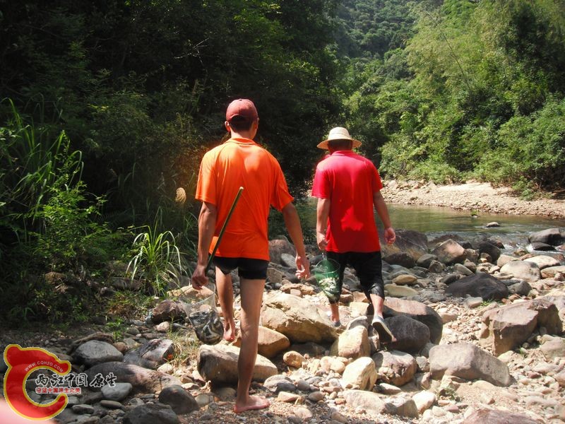 DSCF0894.JPG