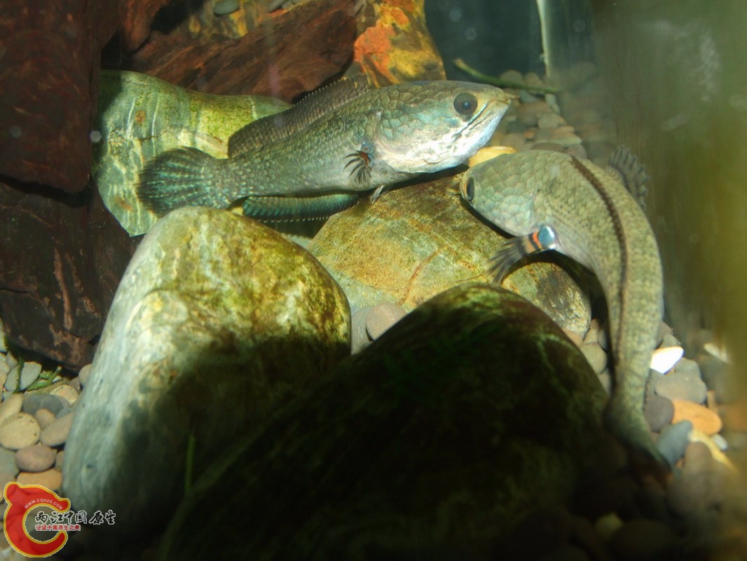 DSCF0957.jpg