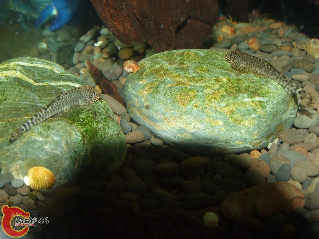 DSCF0961.jpg