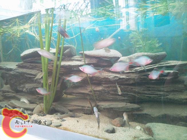 照片2632.jpg
