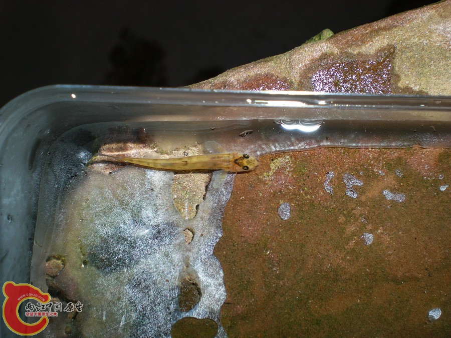 DSCN4831.JPG