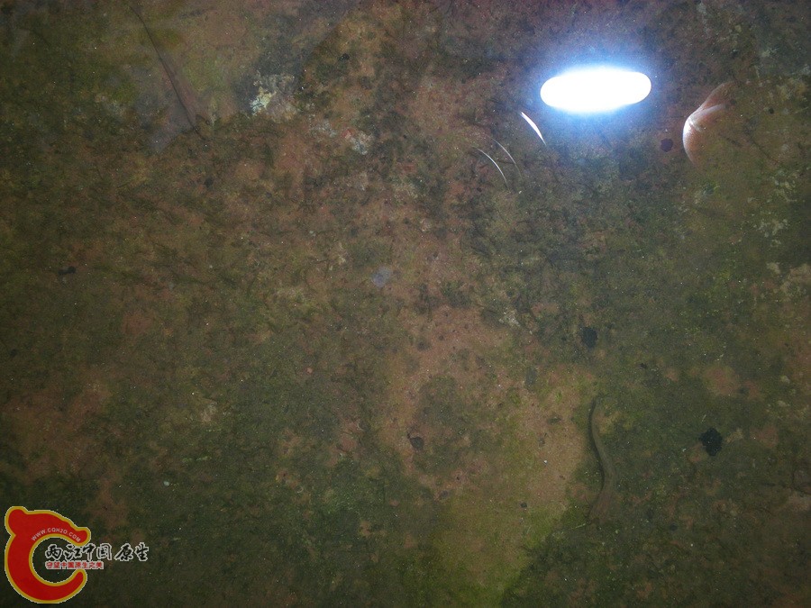 DSCN4835.JPG