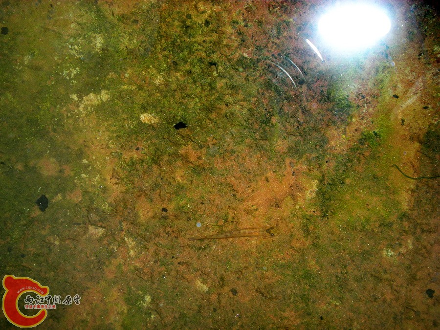 DSCN4836.JPG