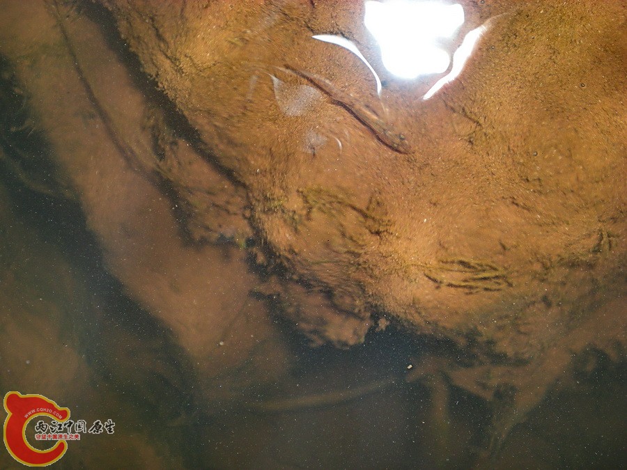 DSCN4860.JPG