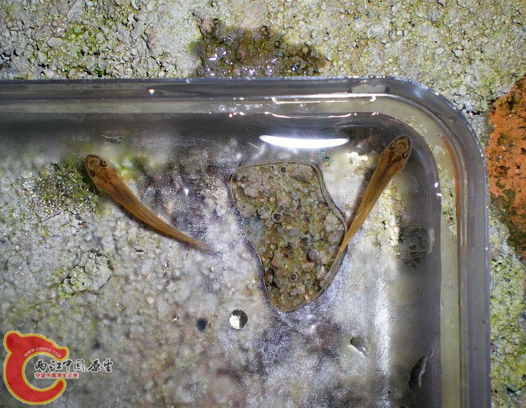 DSCN4829.JPG
