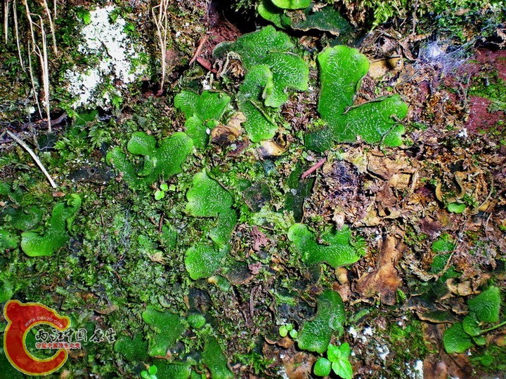 DSCN4825.JPG
