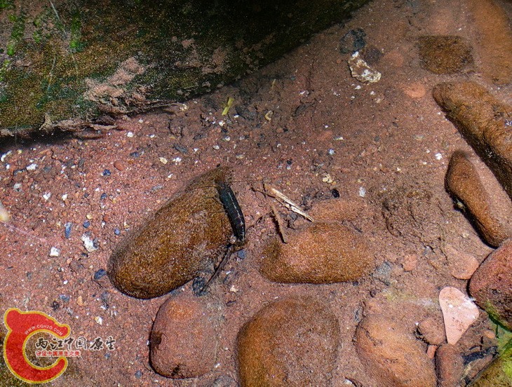 DSCN4842.JPG