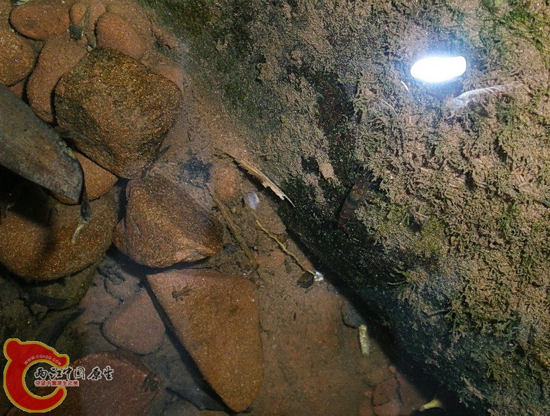 DSCN4845.JPG