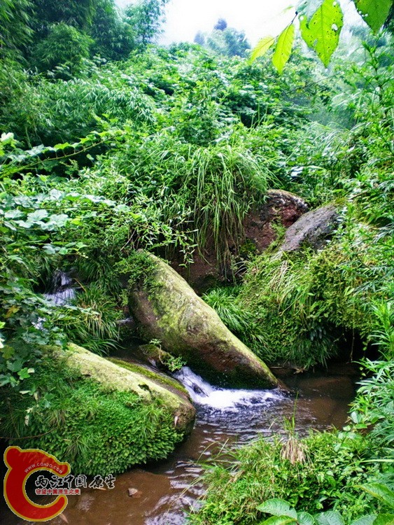 DSCN4844.JPG