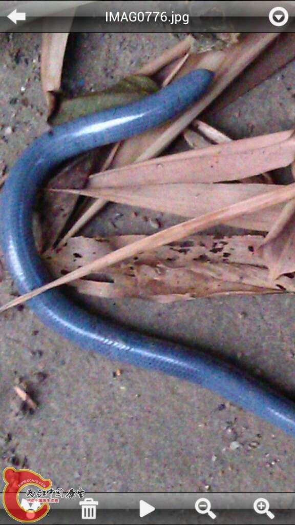 2012-07-16_23-46-19.png