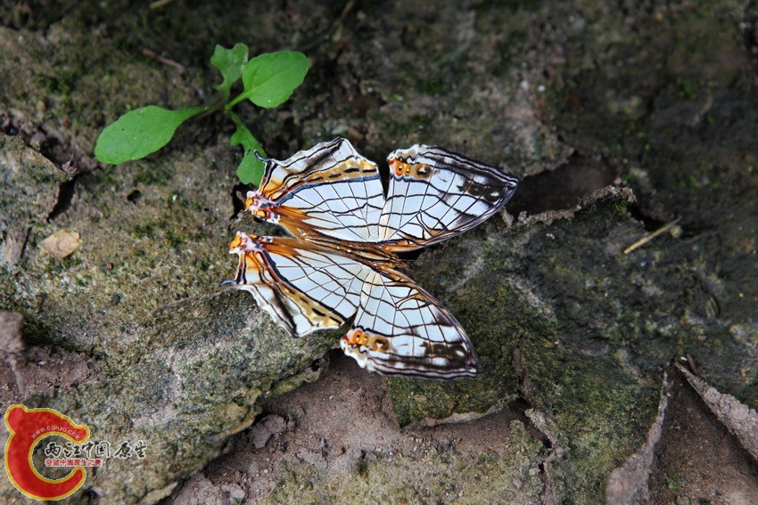 IMG_5680.jpg