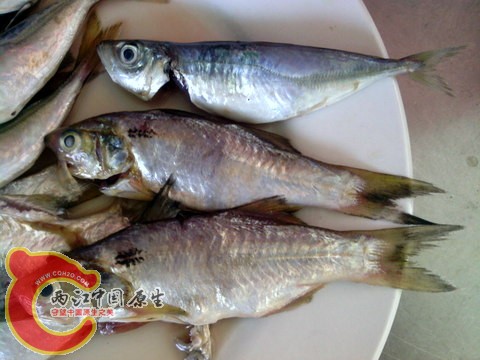 IMG_20120717_110304-001.jpg