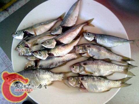 IMG_20120717_110347-001.jpg