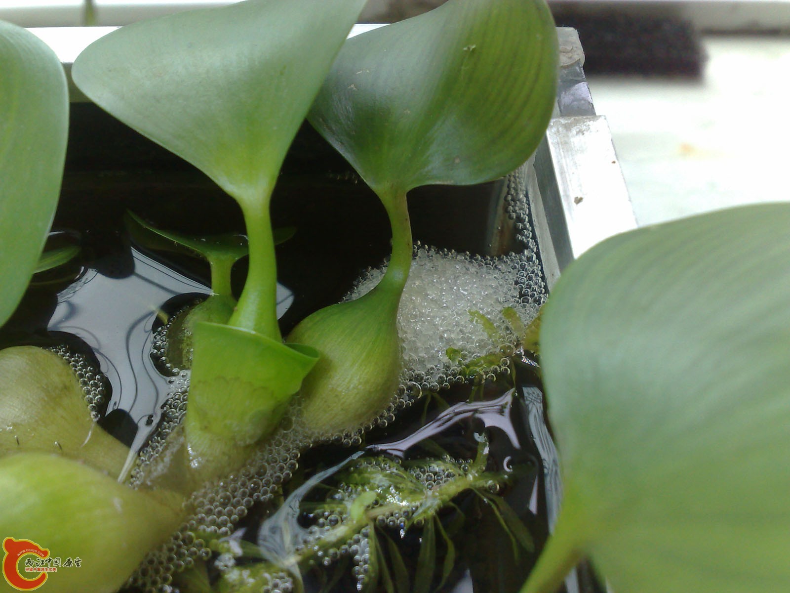 201201015762.jpg