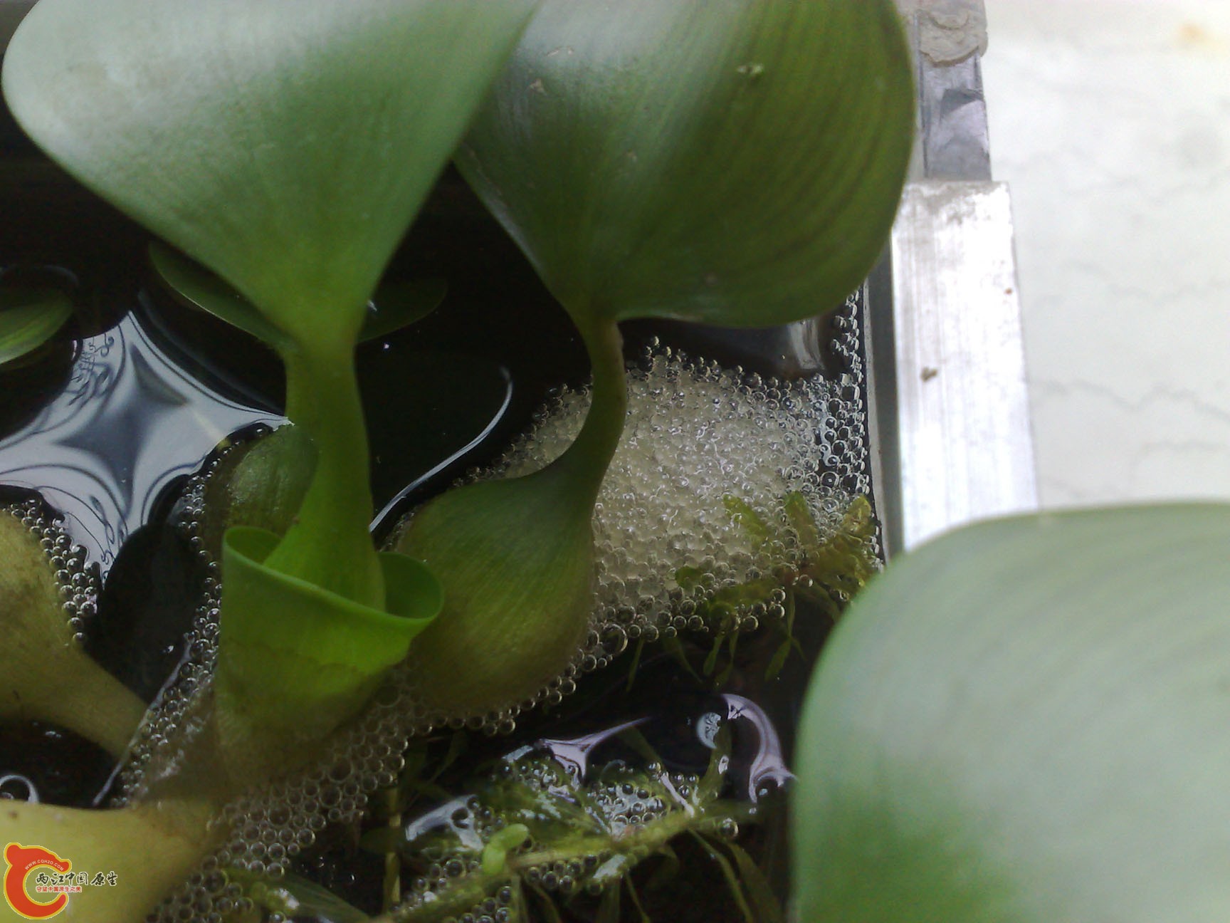 201201015761.jpg