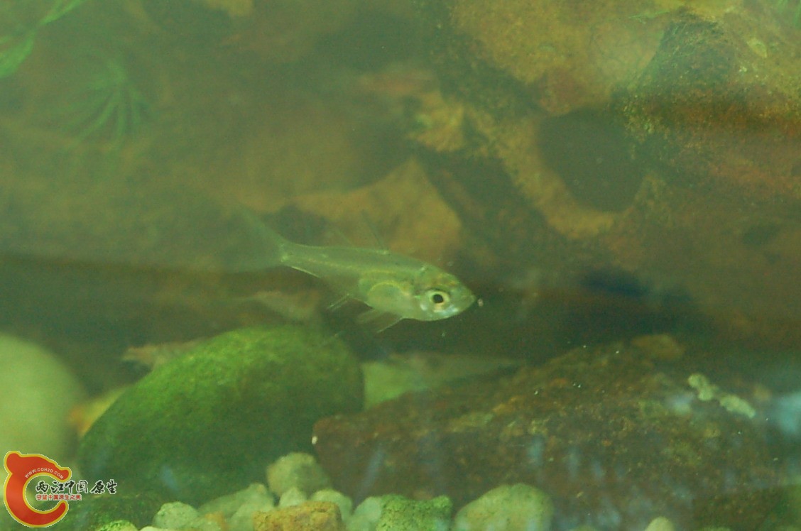DSC_0145.JPG DSC_0145.JPG