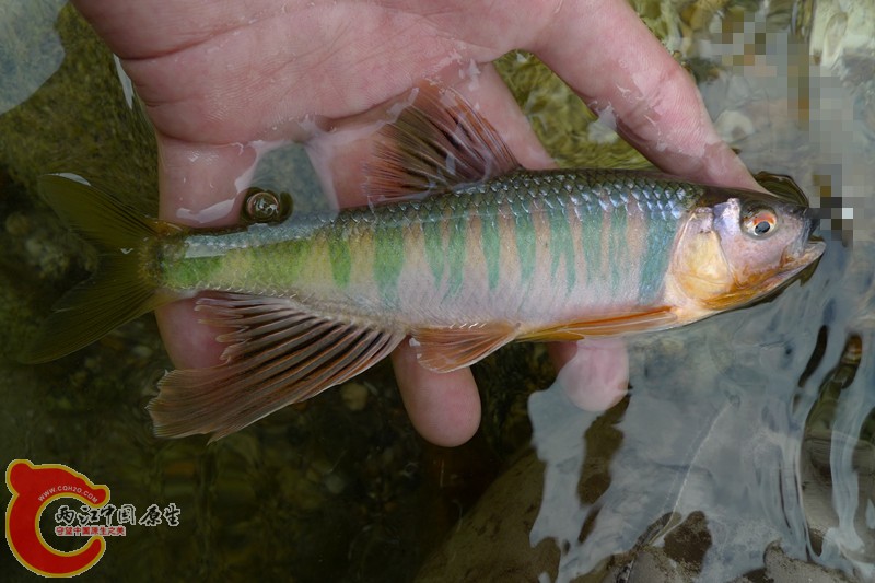 L1040746_副本.jpg