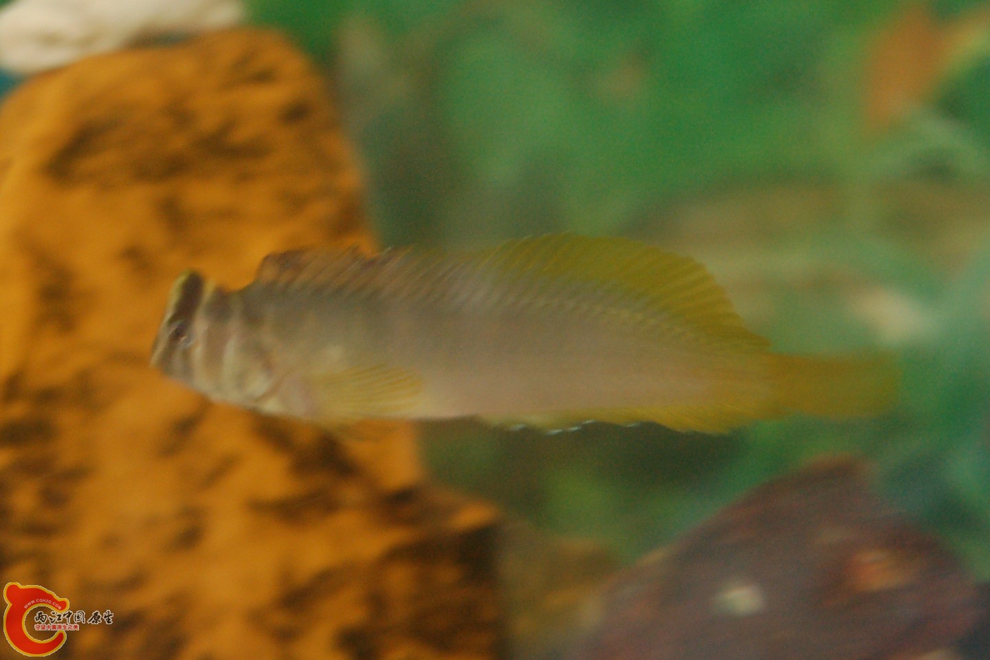 DSC_0133.JPG