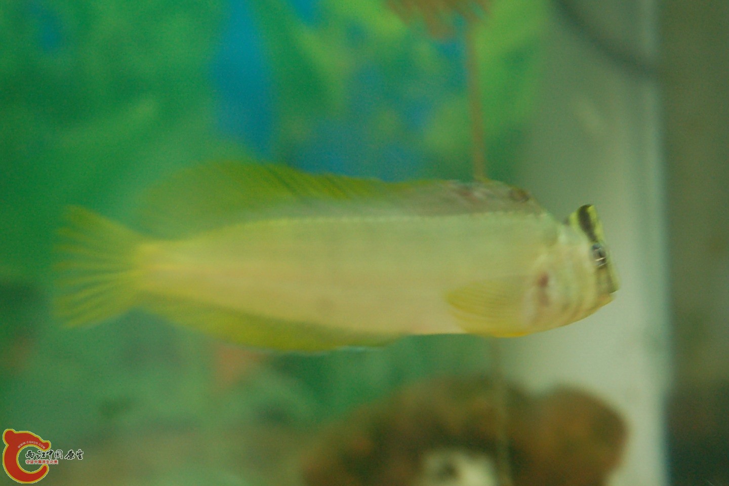 DSC_0108.jpg