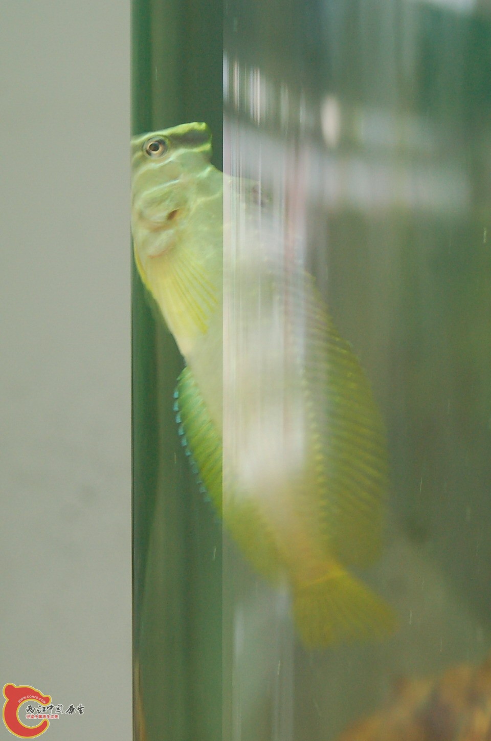 DSC_0103.JPG