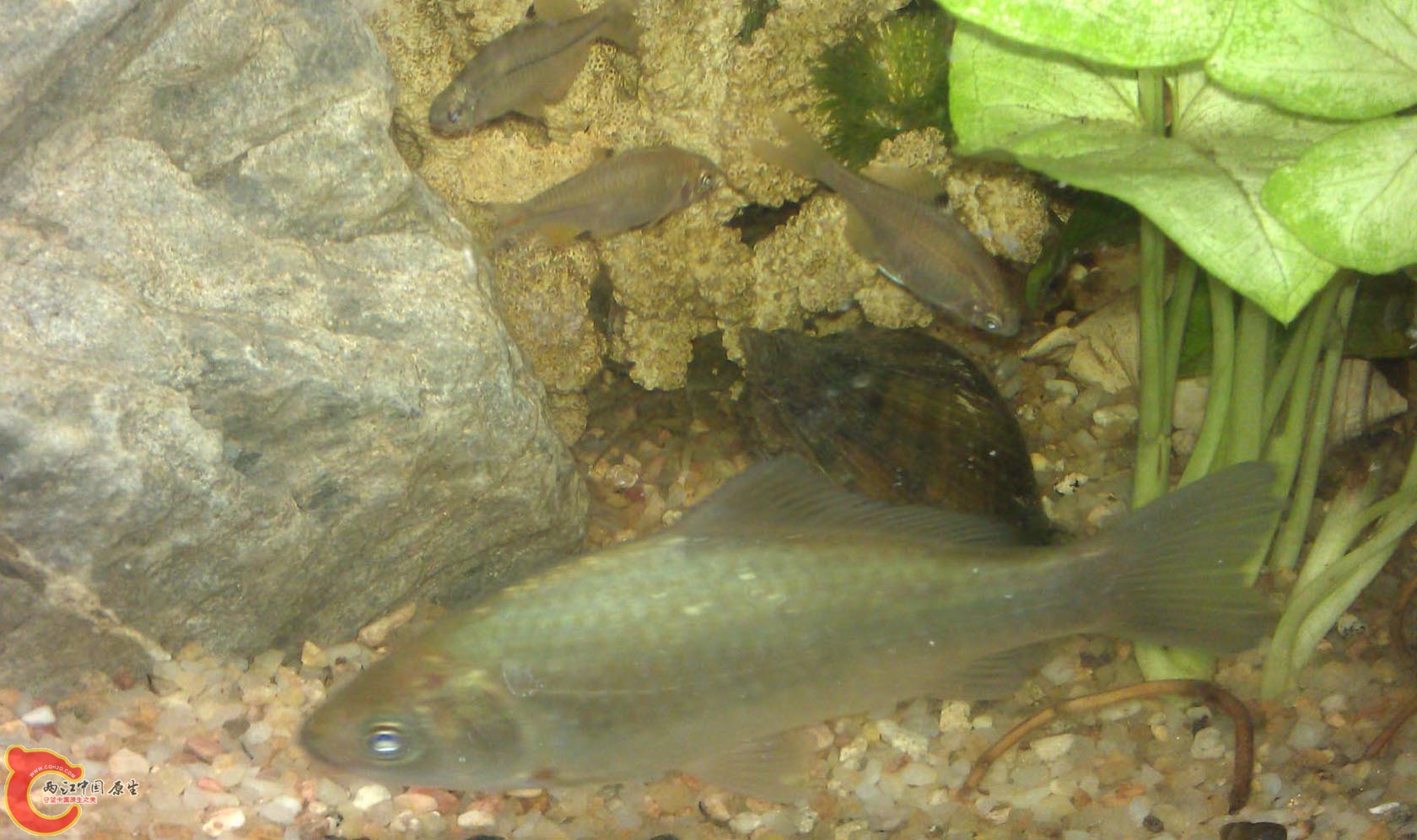 IMAG0955.jpg