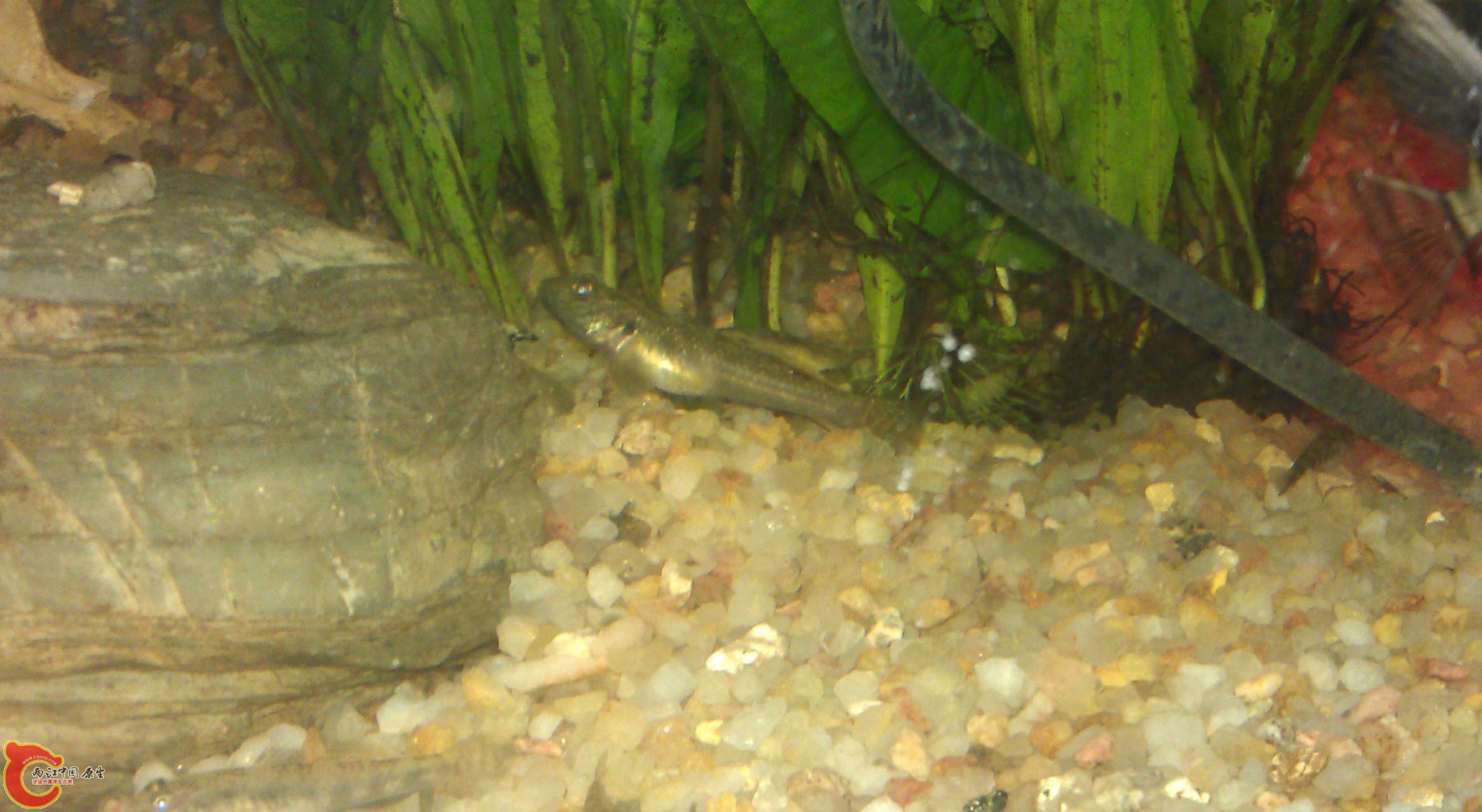 IMAG0927.jpg