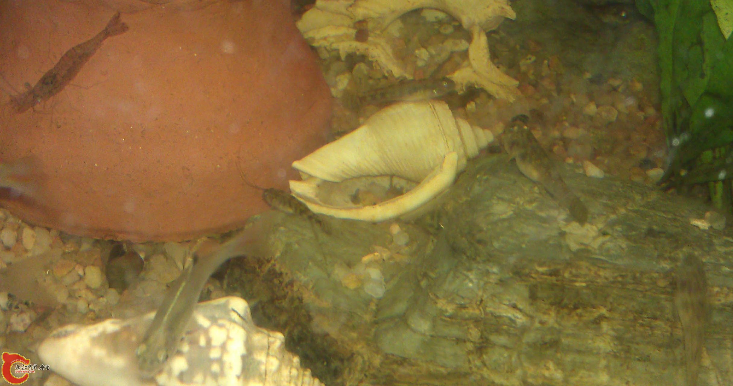 IMAG0944.jpg