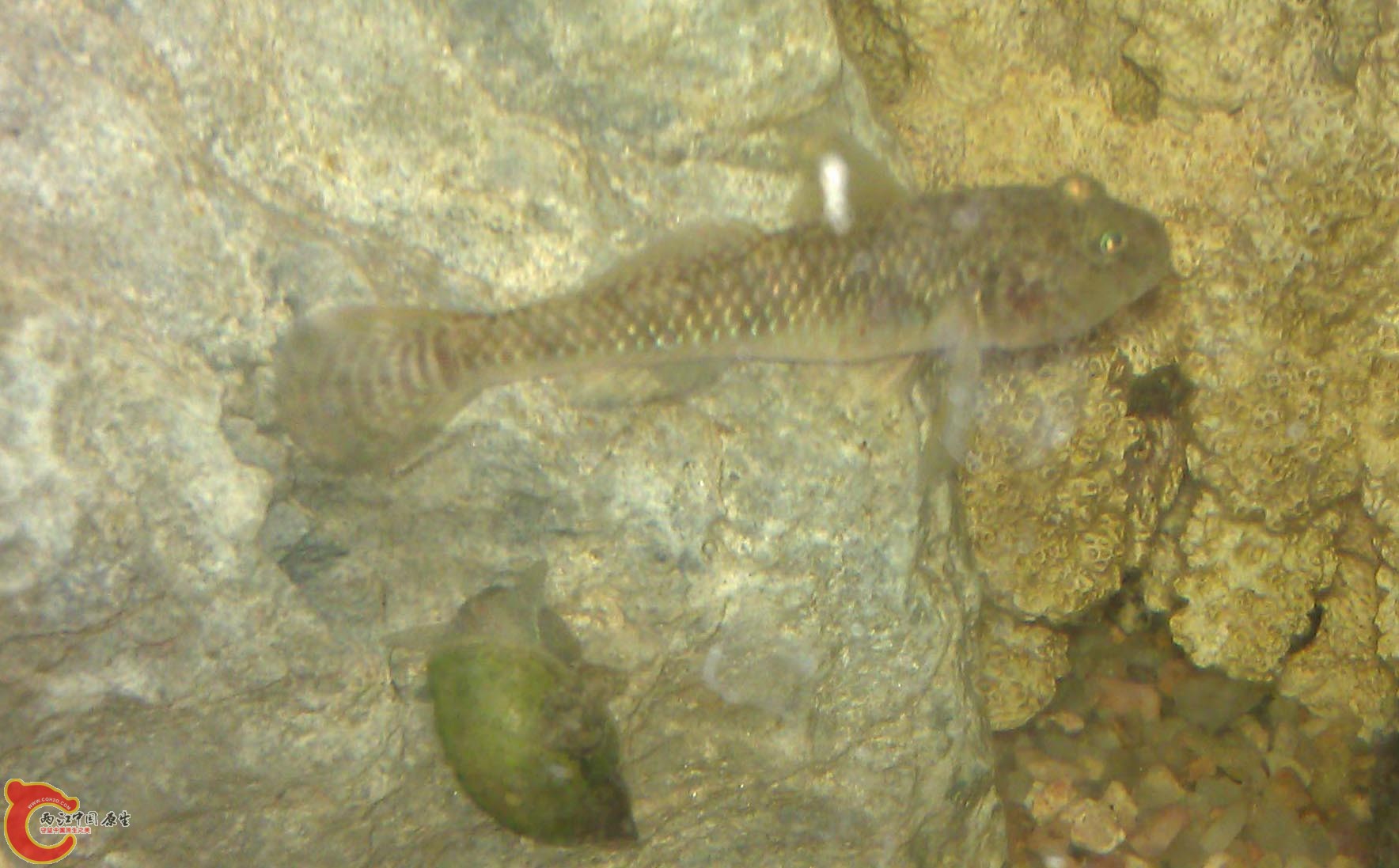 IMAG0966.jpg