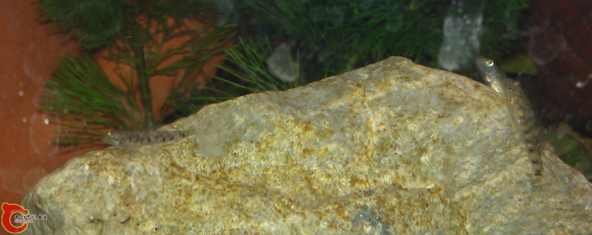 IMAG0946.jpg