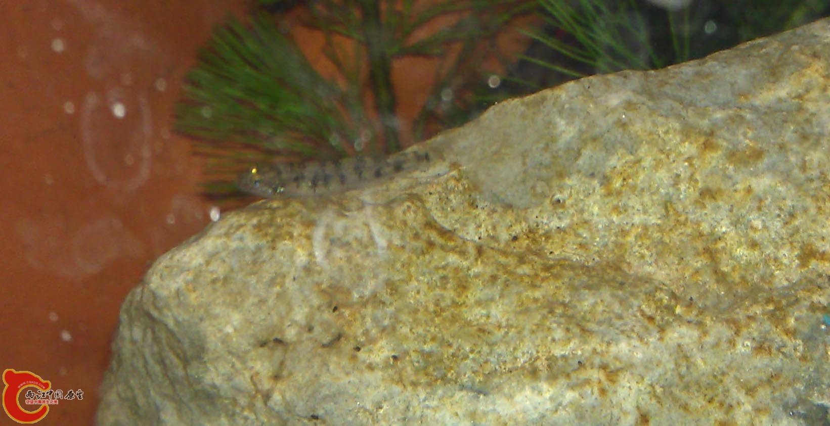 IMAG0948.jpg