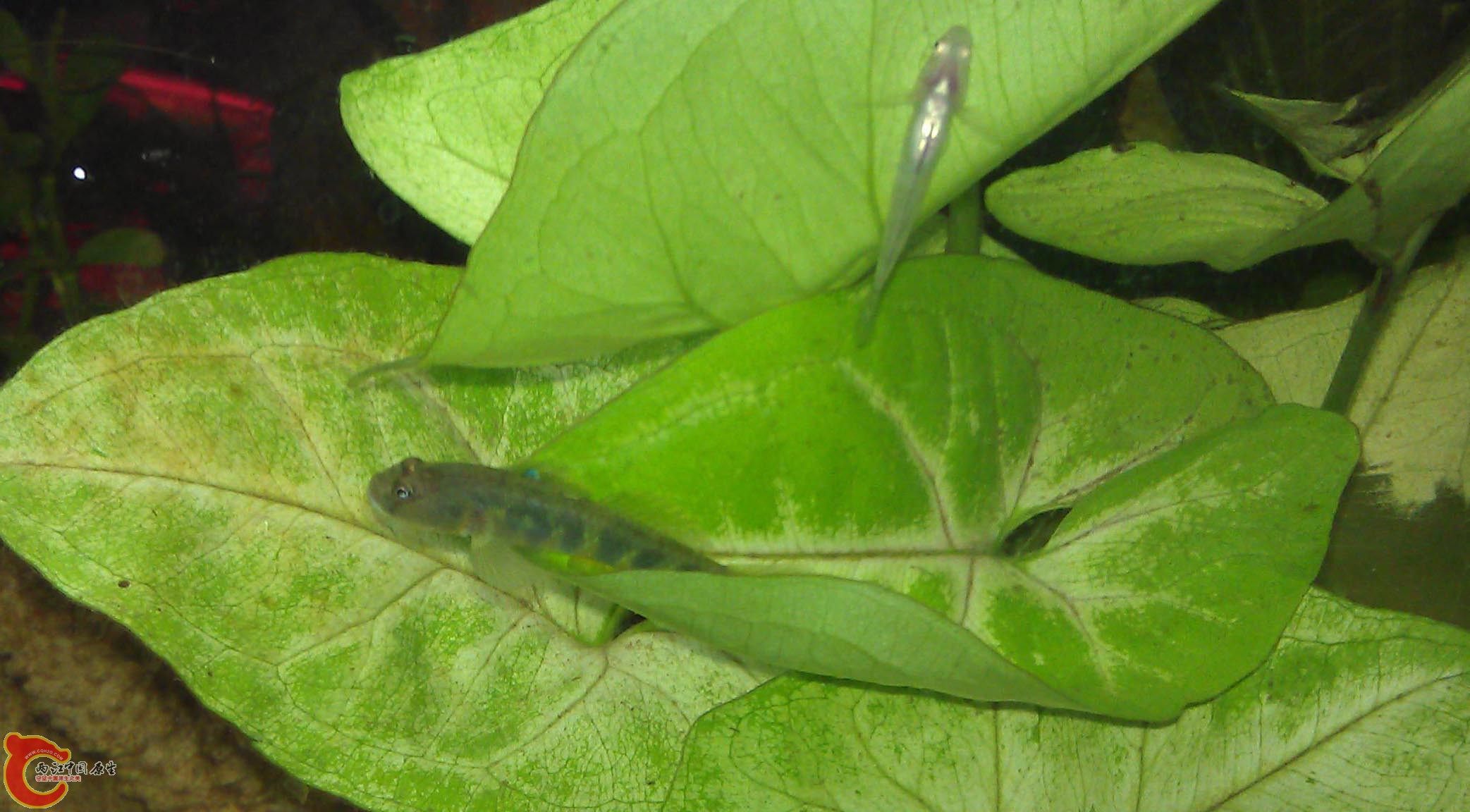 IMAG0916.jpg
