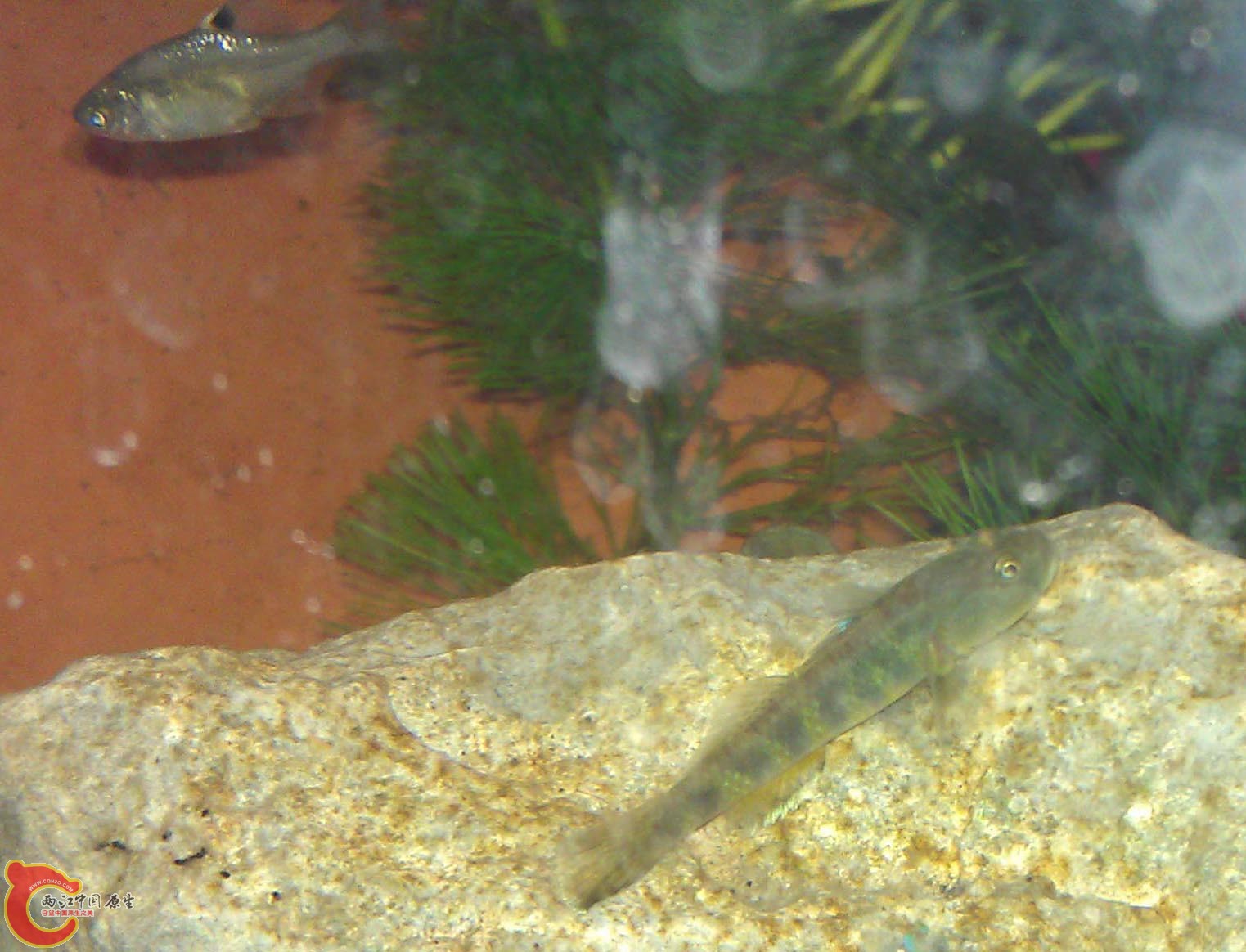 IMAG0938.jpg