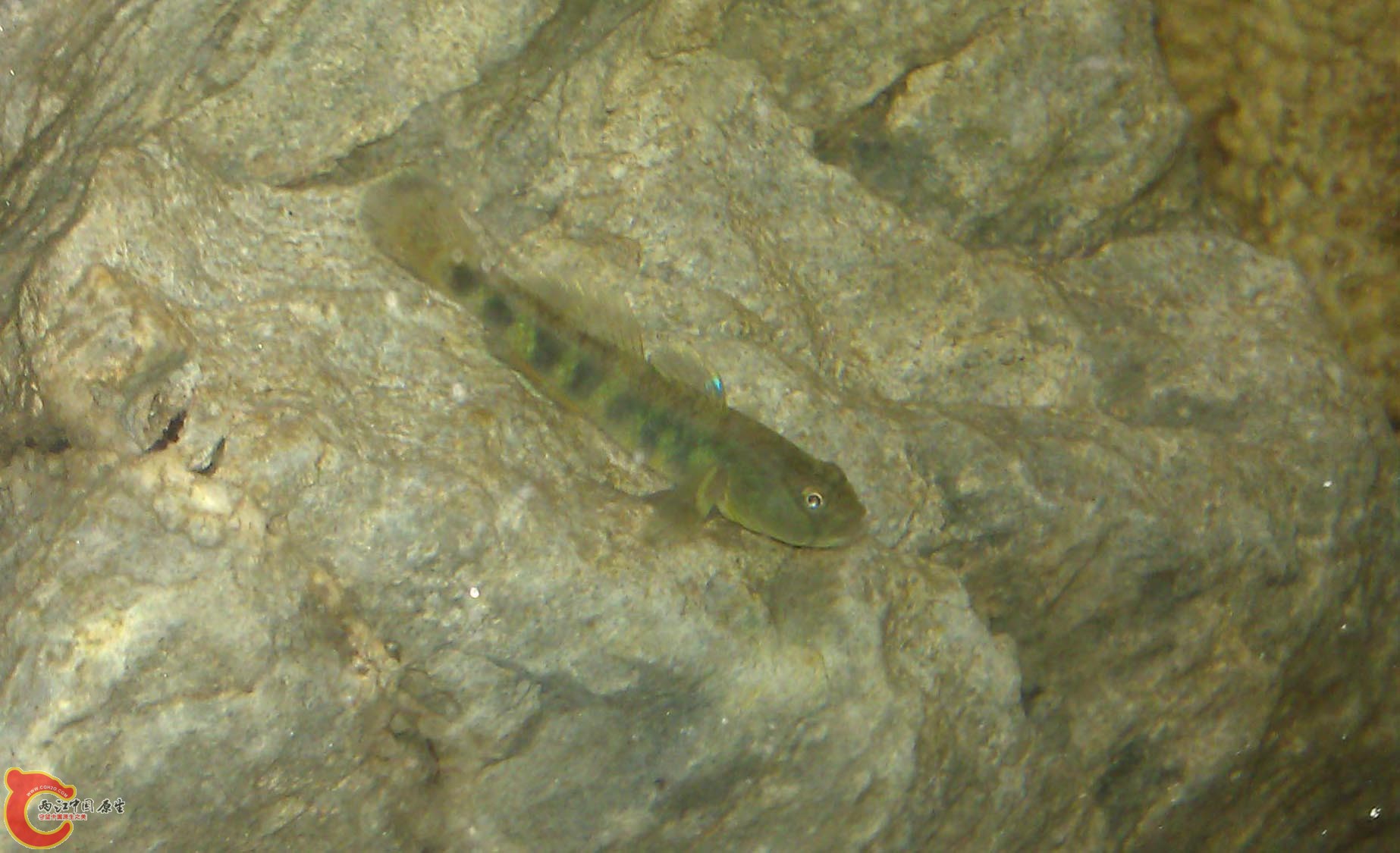 IMAG0941.jpg