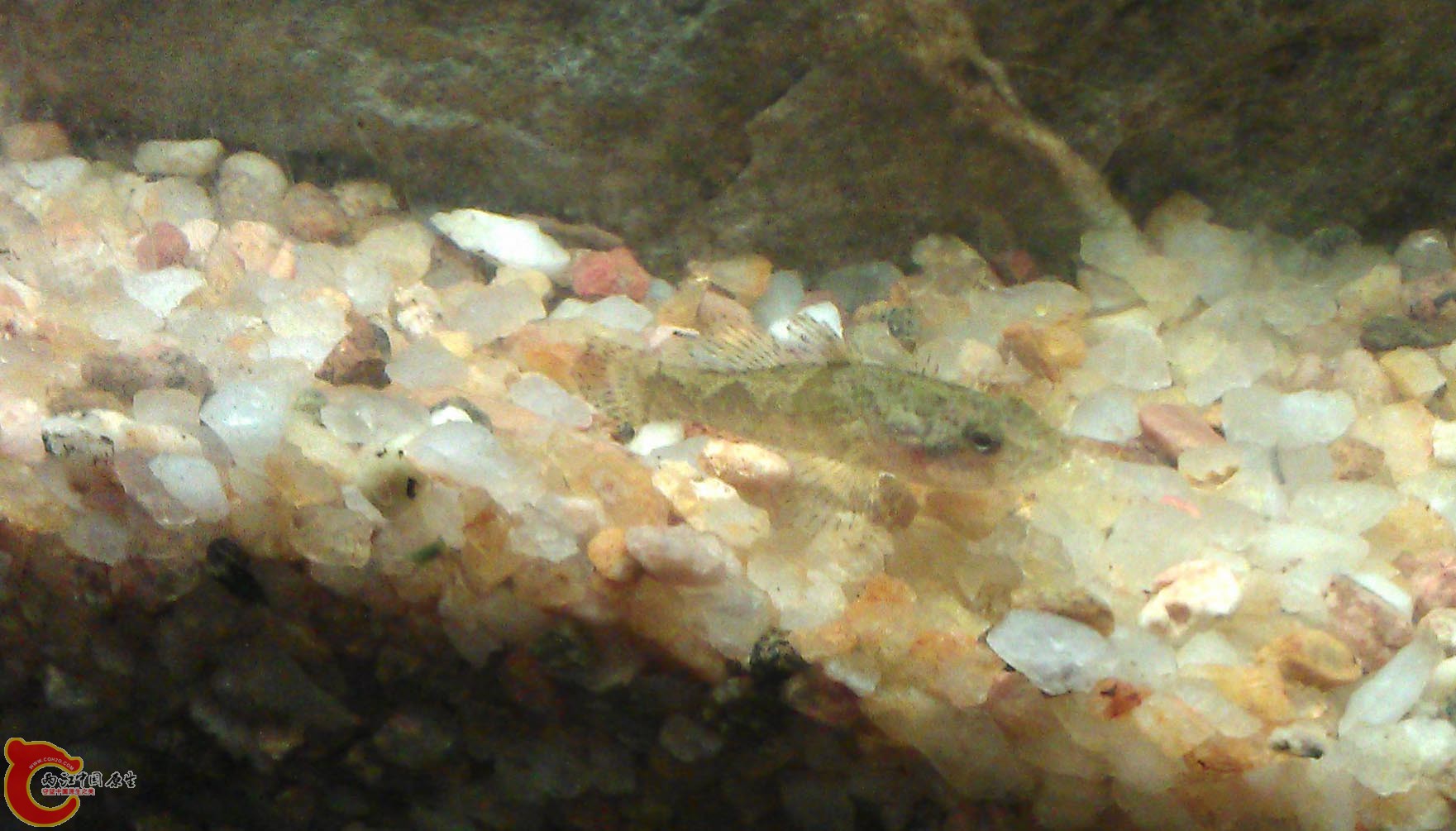 IMAG0906.jpg