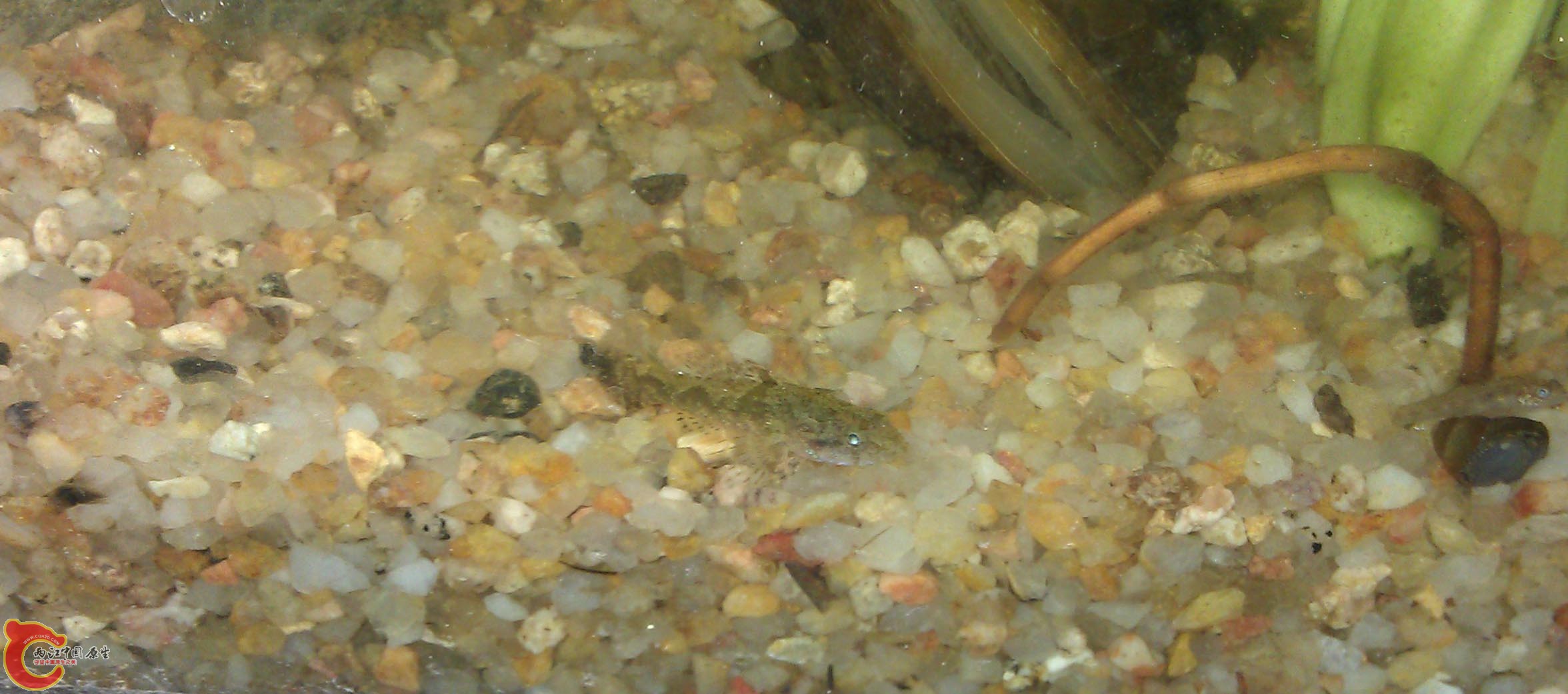 IMAG0914.jpg