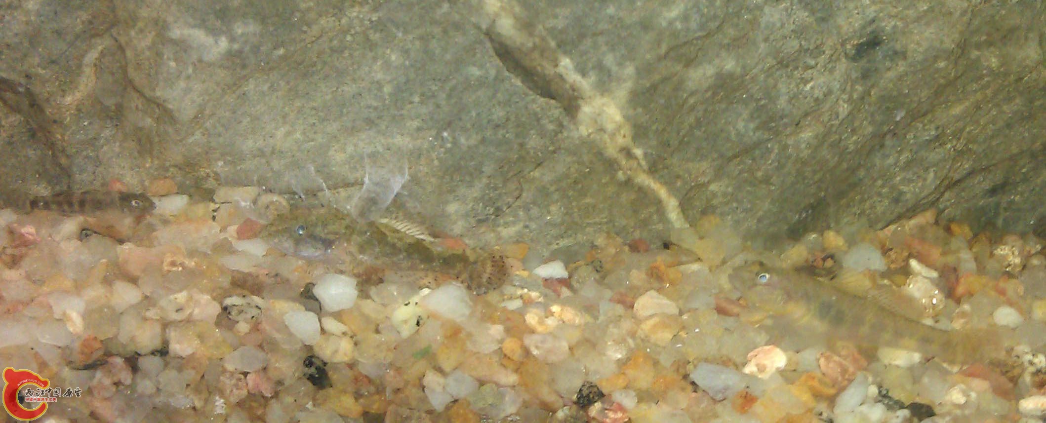 IMAG0917.jpg