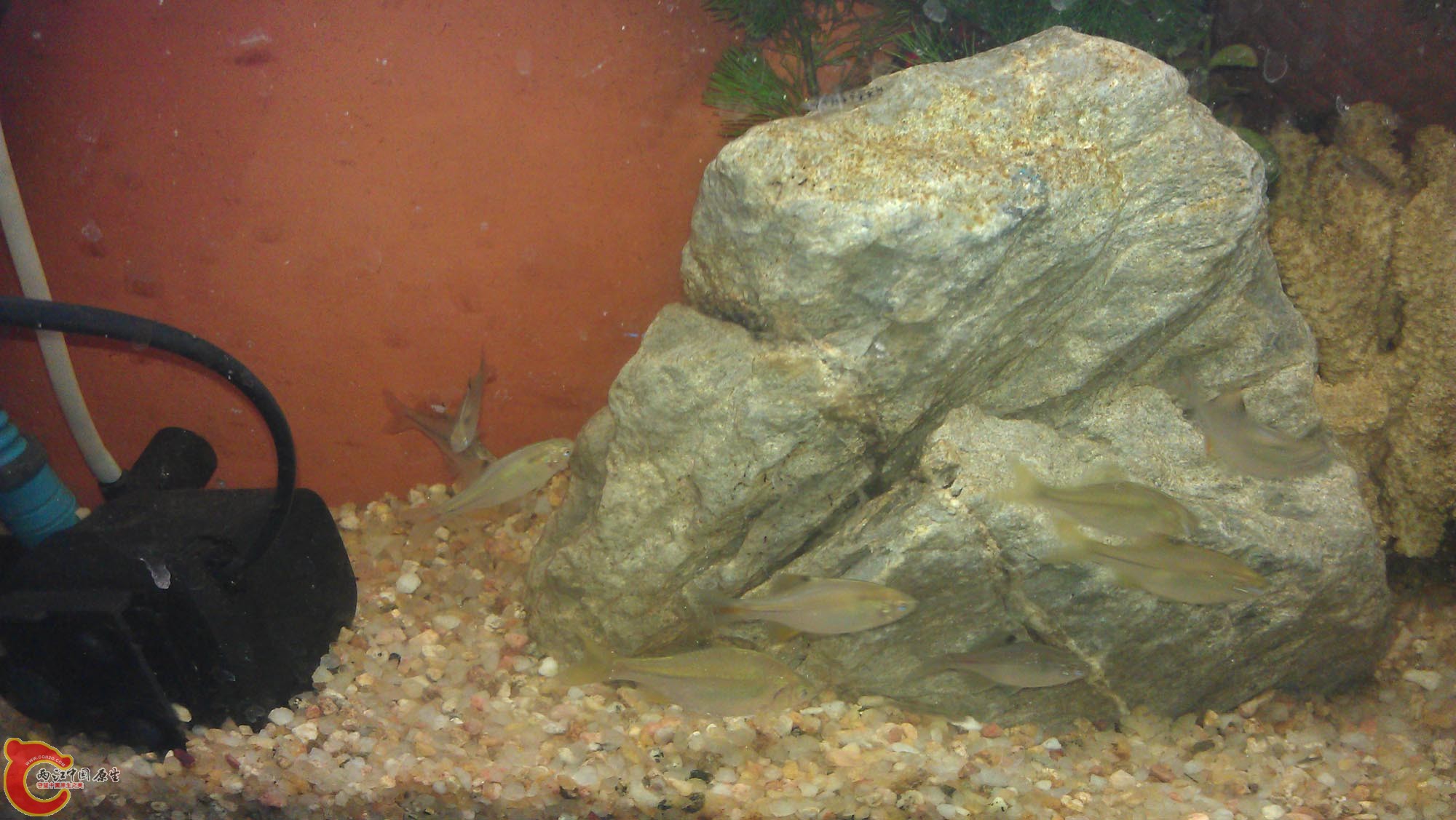 IMAG0945.jpg