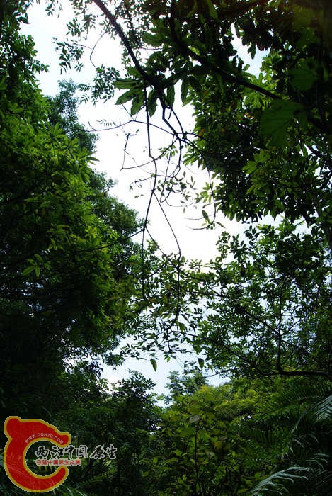09.jpg