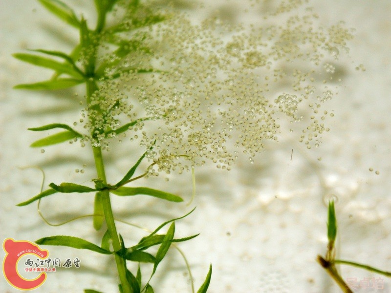 20120613@8PM.jpg