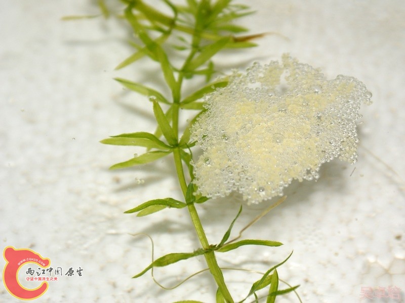 20120612@8PM.jpg