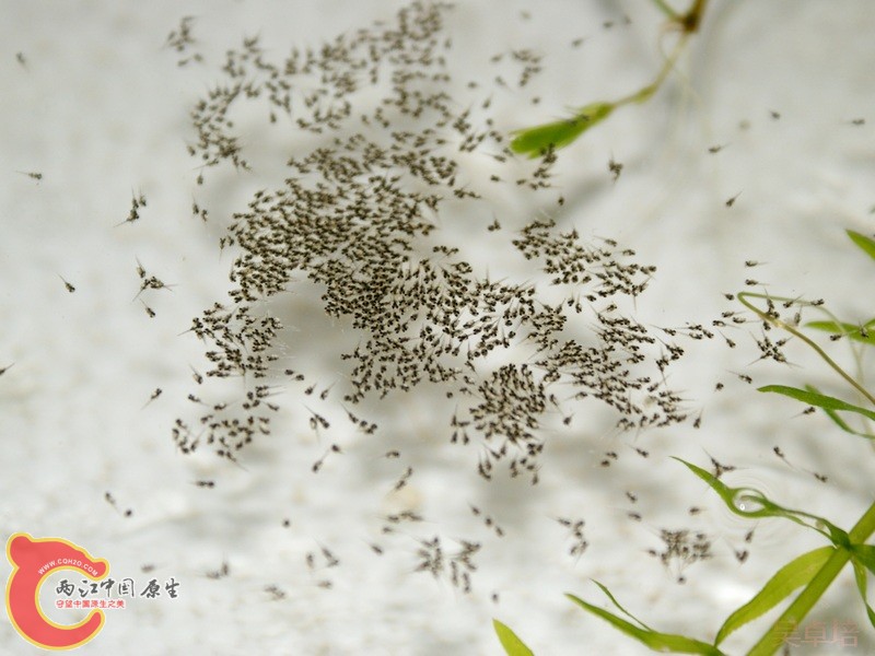 20120615@8AM.JPG