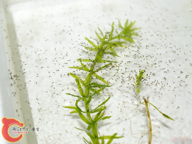 20120615@8PM.JPG