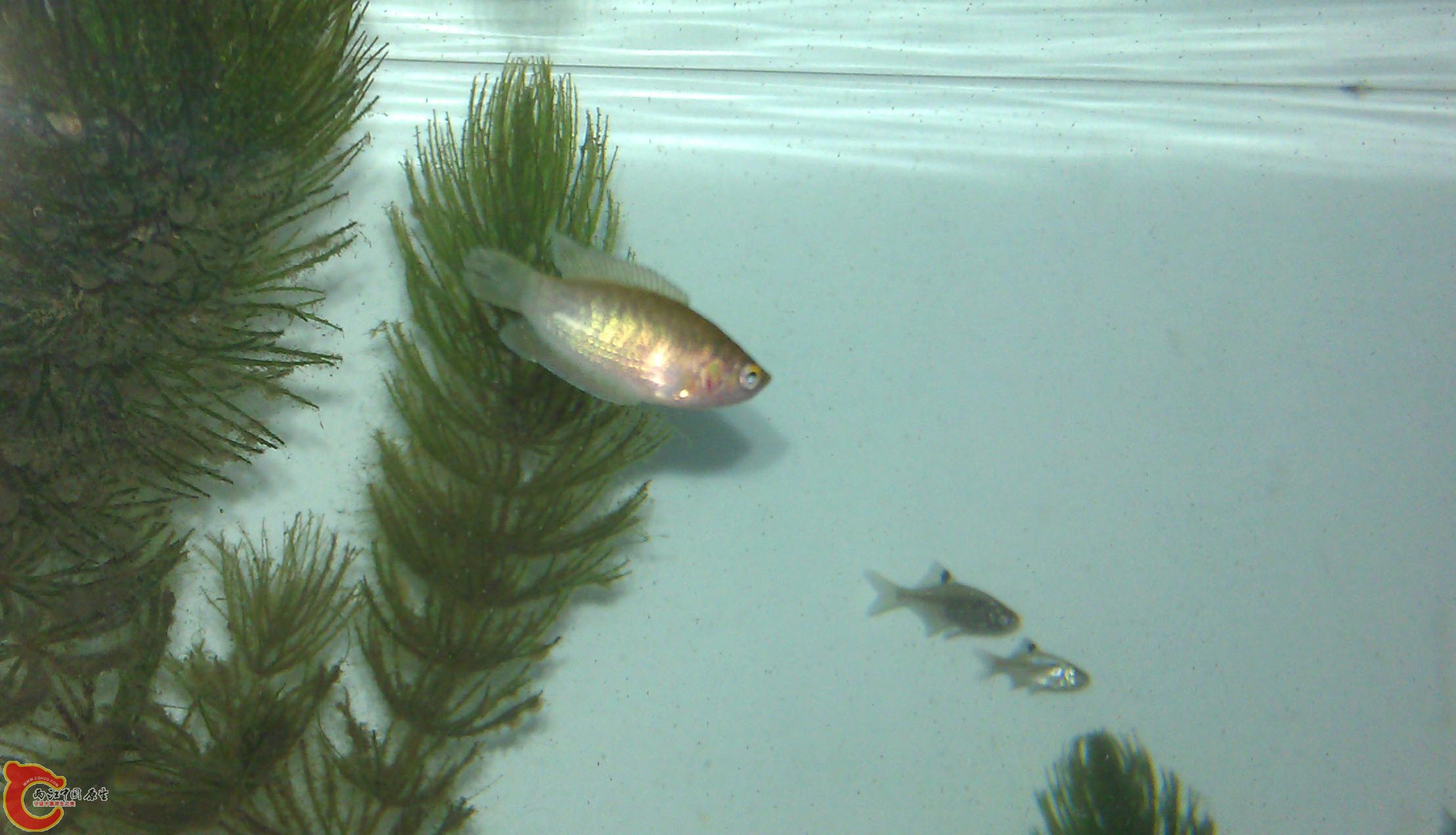 IMAG0989.jpg